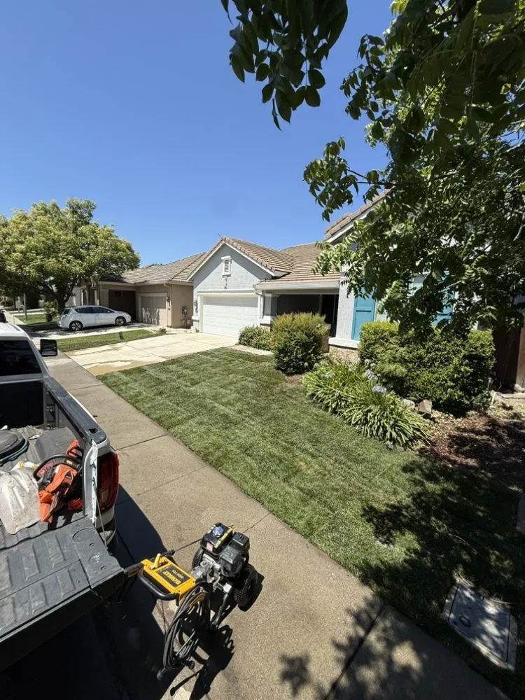 Trusted lawn care service in East Palo Alto, CA by Royal Landscaping