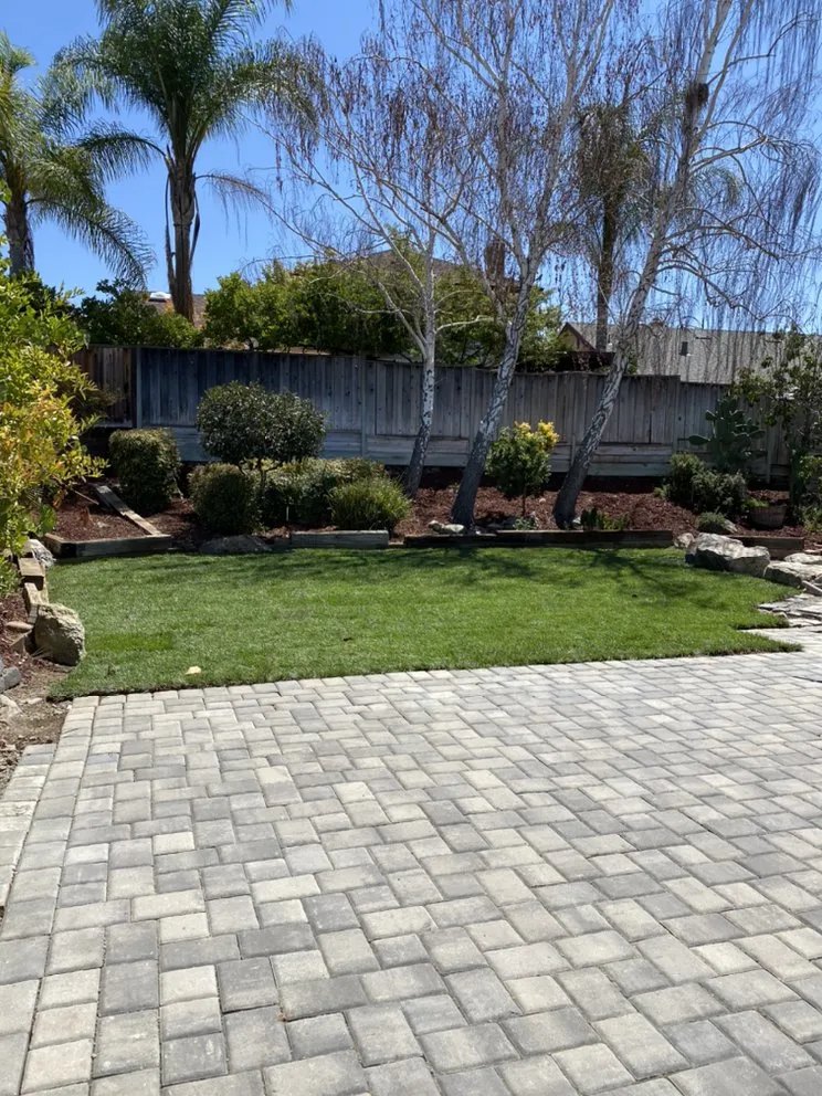 Trusted yard cleanup service experts serving East Palo Alto, CA - Royal Landscaping