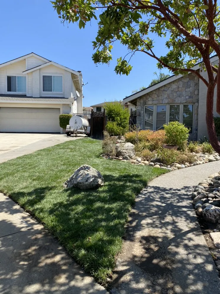 Expert landscape installation experts serving East Palo Alto, CA - Royal Landscaping