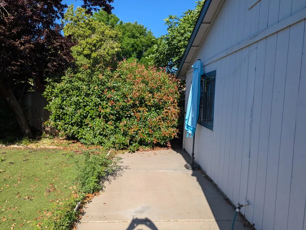 Trusted landscape installation with custom design across East Palo Alto, CA - Royal Landscaping