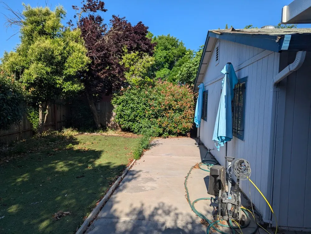 Local yard maintenance in East Palo Alto, CA - Royal Landscaping