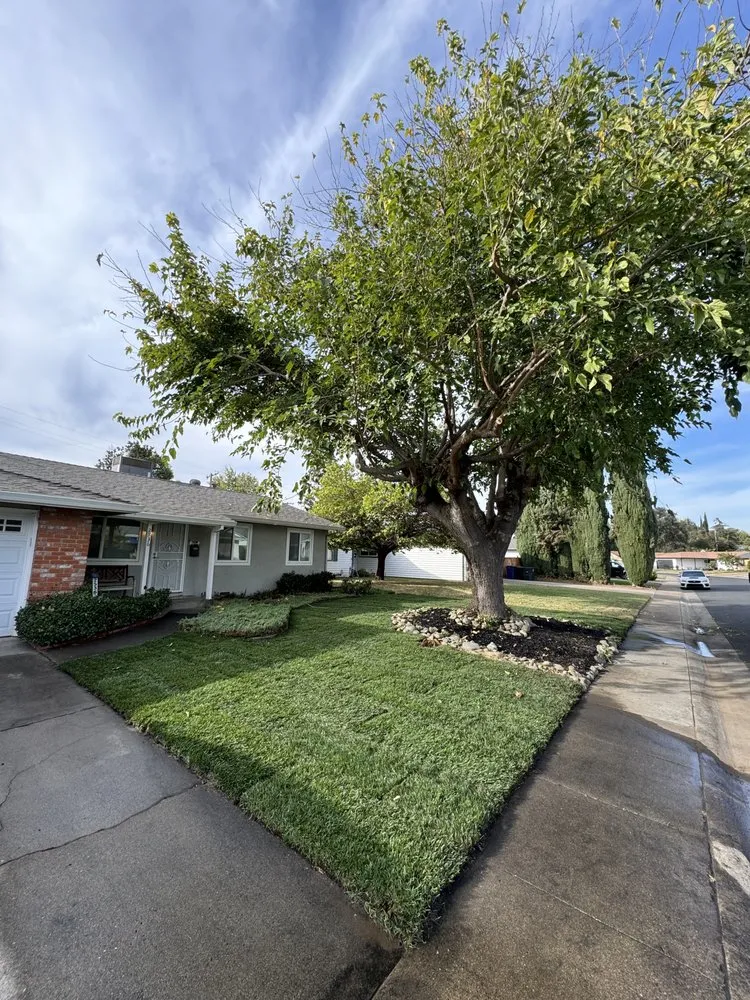 Expert residential landscaping experts serving East Palo Alto, CA - Royal Landscaping