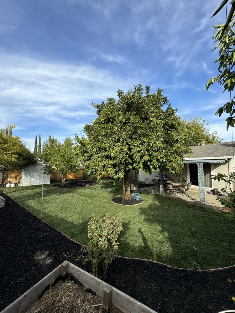 Expert landscape design near you in East Palo Alto, CA by Royal Landscaping