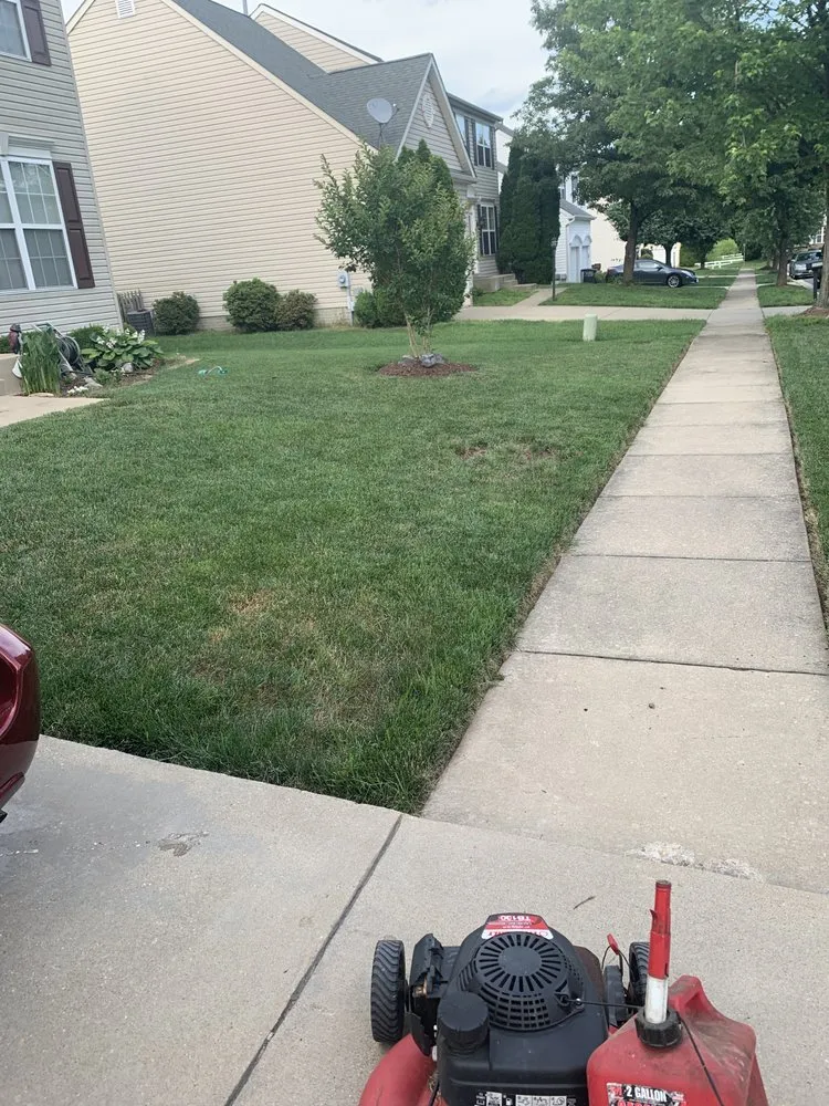 Reliable landscape design for outdoor upgrades in Fairmount Hgt, MD by Royal Landscaping