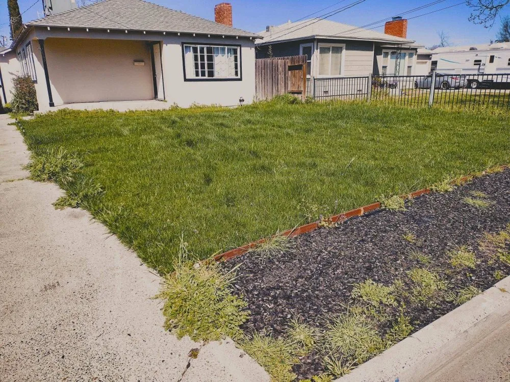 Professional lawn care service for residential properties across Modesto, CA - ROYAL LANDSCAPING