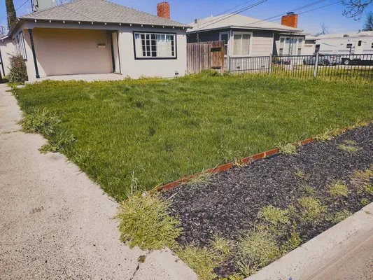 ROYAL LANDSCAPING Logo