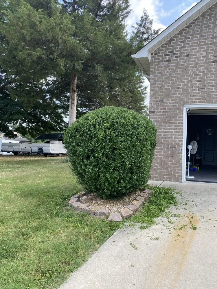 Custom yard cleanup service for year-round maintenance across Prince George, VA - Royal Landscaping