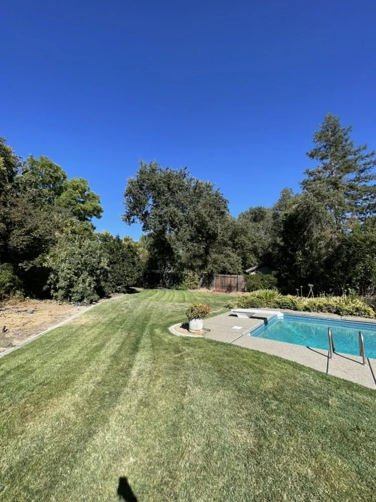 Reliable outdoor landscaping in Sacramento, CA by Royal Landscaping