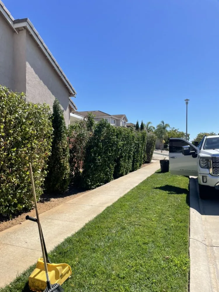 Reliable lawn care service for residential properties in Sacramento, CA by Royal Landscaping
