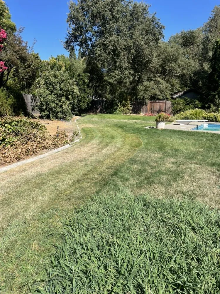 Top-rated landscape design in Sacramento, CA - Royal Landscaping