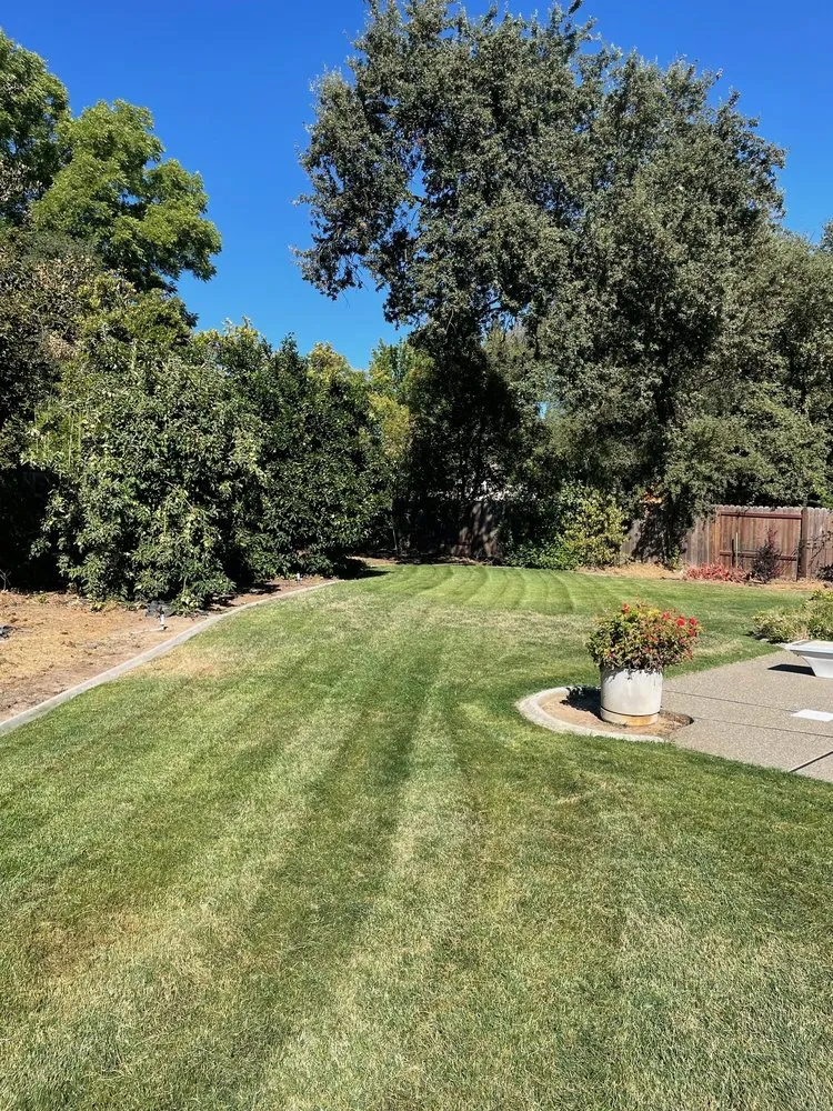 Top-rated residential landscaping in Sacramento, CA - Royal Landscaping