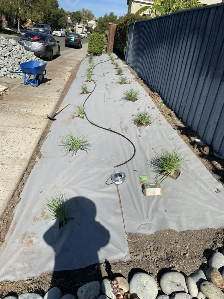 Local yard maintenance for beautiful yards in Sacramento, CA by Royal Landscaping