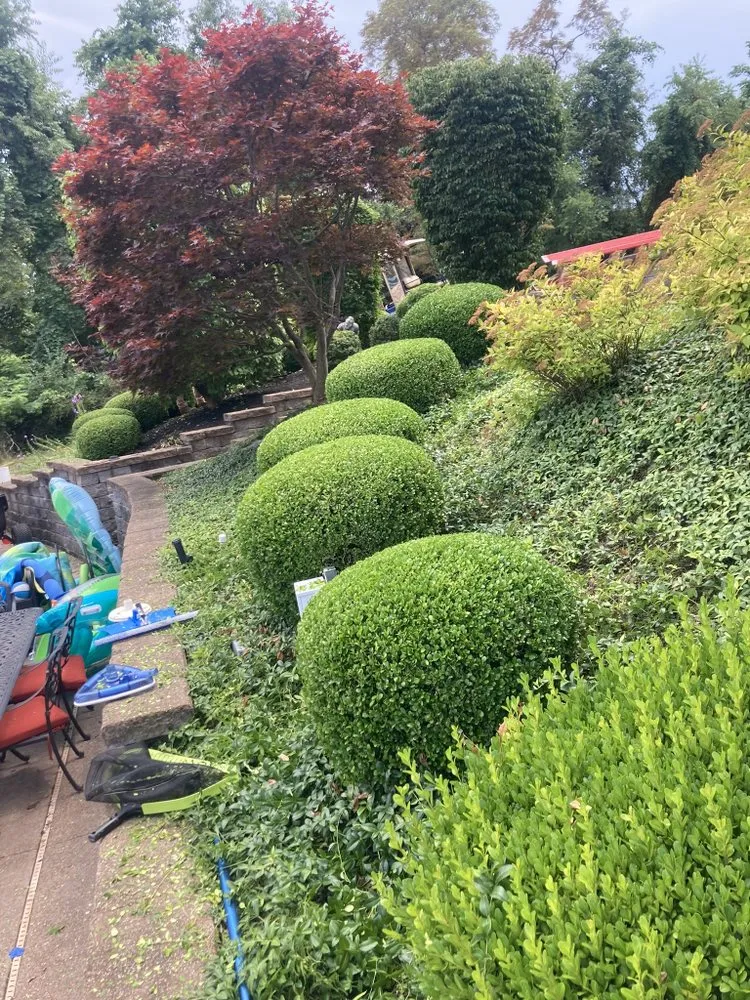 Reliable yard cleanup service in Trafford, PA by Royal Landscaping