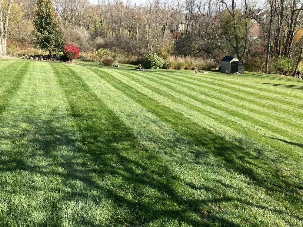 Reliable residential landscaping for beautiful yards across Trafford, PA - Royal Landscaping
