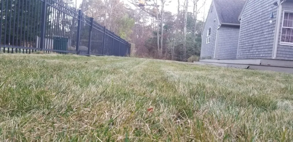 Trusted residential landscaping for beautiful yards in West Dennis, MA by Royal Landscaping