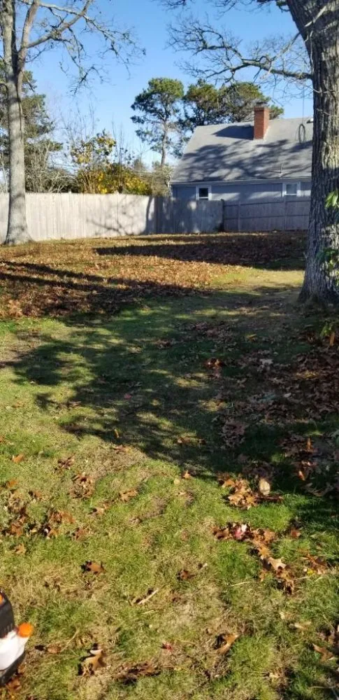 Custom yard cleanup service experts serving West Dennis, MA - Royal Landscaping