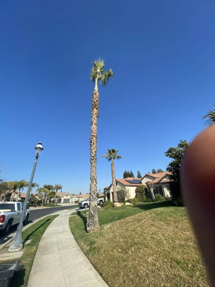 Expert landscaping services in Fresno, CA - Royal Lawn Care