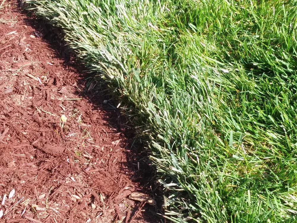 Top-rated landscaping services in Iron Station, NC by Royal Lawn Care