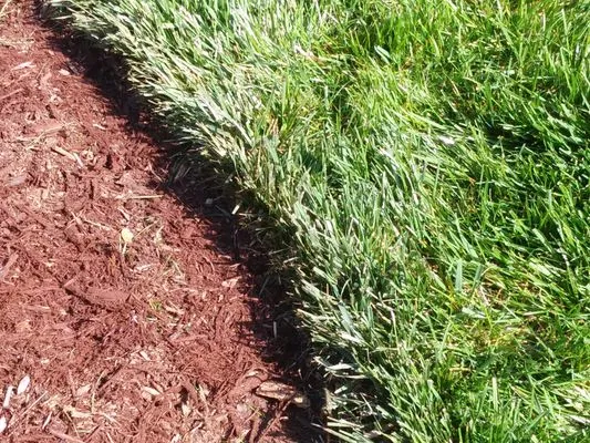 Royal Lawn Care Logo