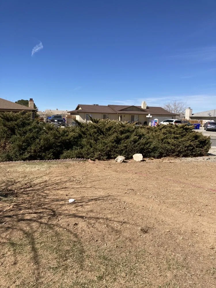 Expert yard maintenance for outdoor upgrades across Apple Valley, CA - Royal Lawn Maintainance