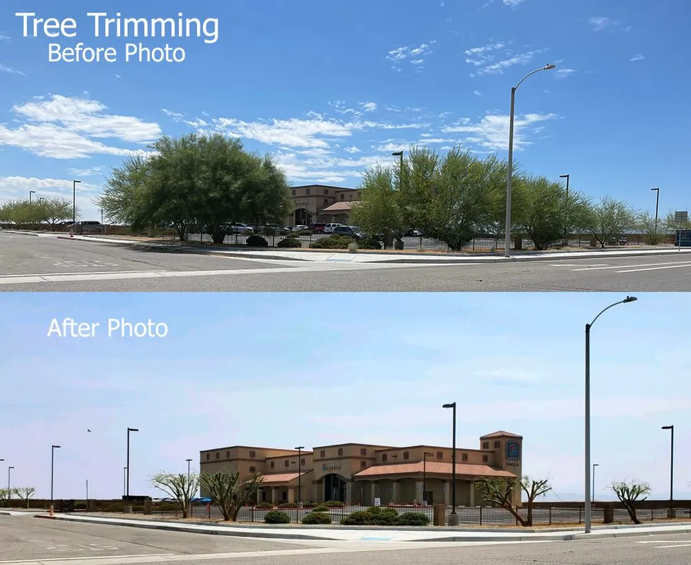 Expert landscaping services for outdoor upgrades in Apple Valley, CA by Royal Lawn Maintainance