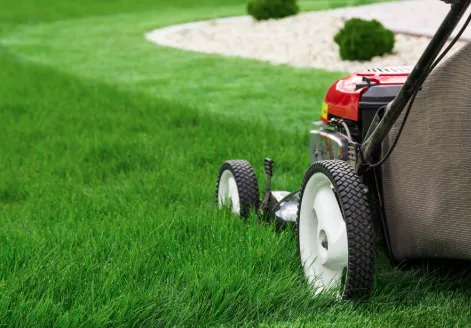 Affordable yard cleanup service in Wildwood, FL - Royal Lawn Servics