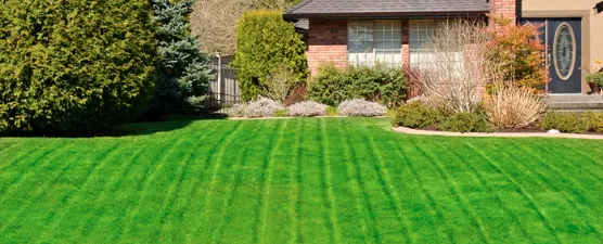 Trusted landscape design in Wildwood, FL by Royal Lawn Servics