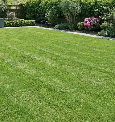 Trusted yard maintenance experts serving Wildwood, FL - Royal Lawn Servics