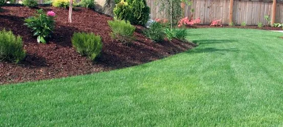 Professional garden landscaping in Wildwood, FL by Royal Lawn Servics
