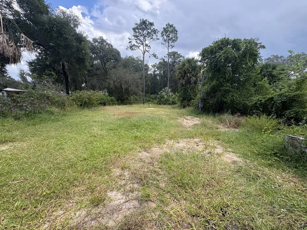 Reliable lawn mowing service with custom design across Wildwood, FL - Royal Lawn Servics