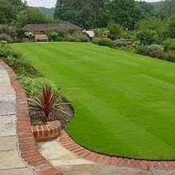 Reliable landscaping services for homes in Austin, TX by Royal Lawns
