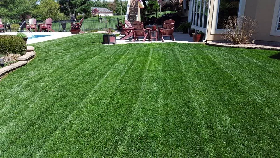 Affordable landscape installation in Cape Girardeau, MO by Royal Lawns Landscape Management