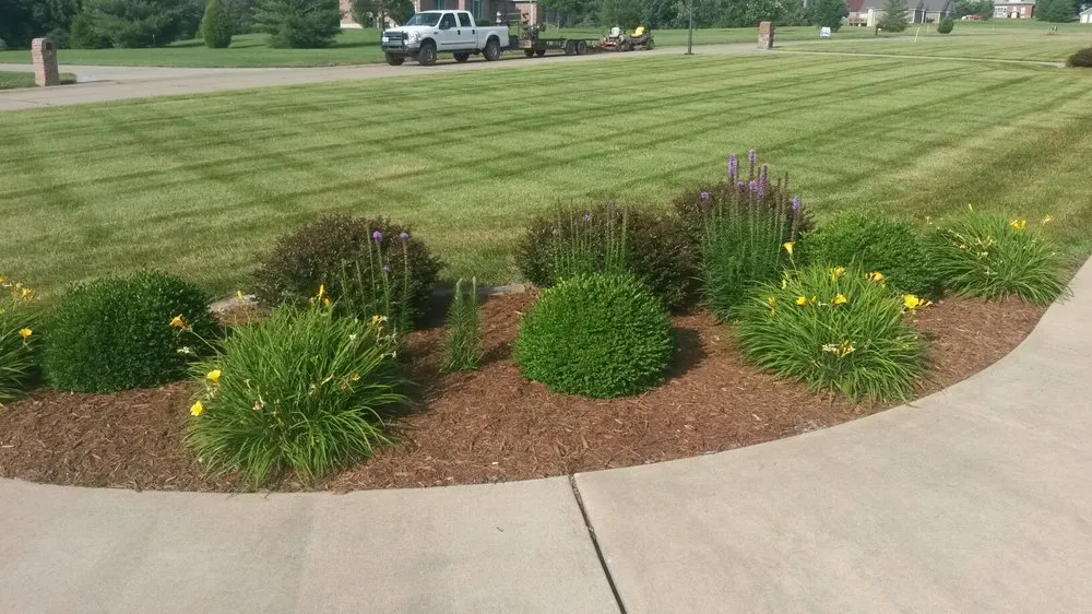 Professional lawn care service in Cape Girardeau, MO - Royal Lawns Landscape Management