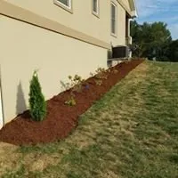 Professional landscaping services experts serving Cape Girardeau, MO - Royal Lawns Landscape Management