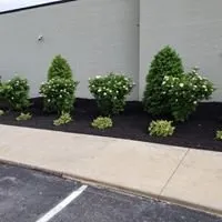 Professional lawn mowing service in Cape Girardeau, MO by Royal Lawns Landscape Management