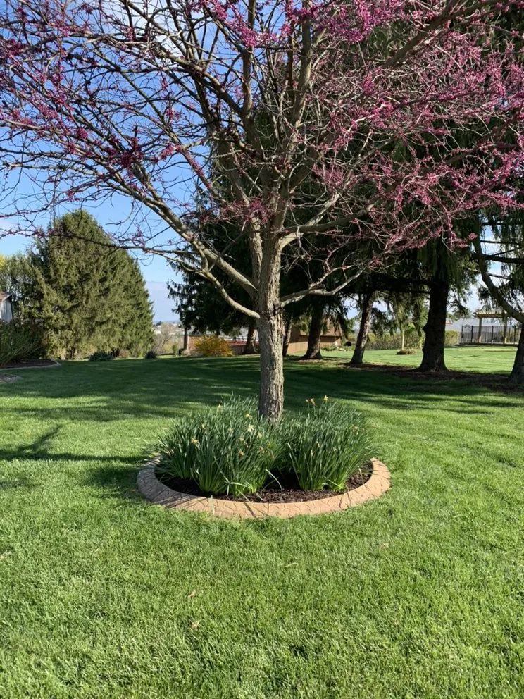 Top-rated residential landscaping in New Oxford, PA - Royal Lawns