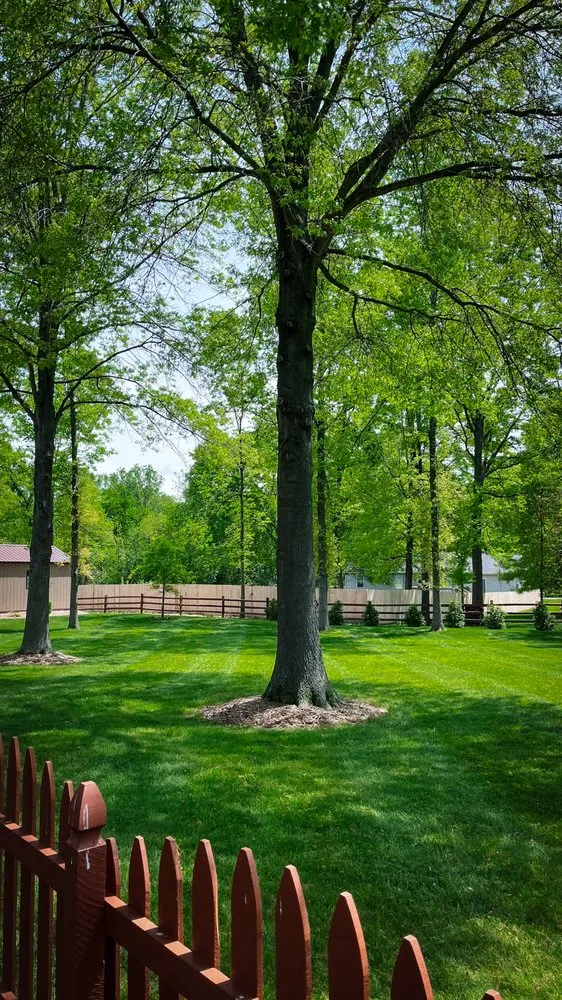 Custom landscape installation experts serving Troy, MO - Royal Lawns