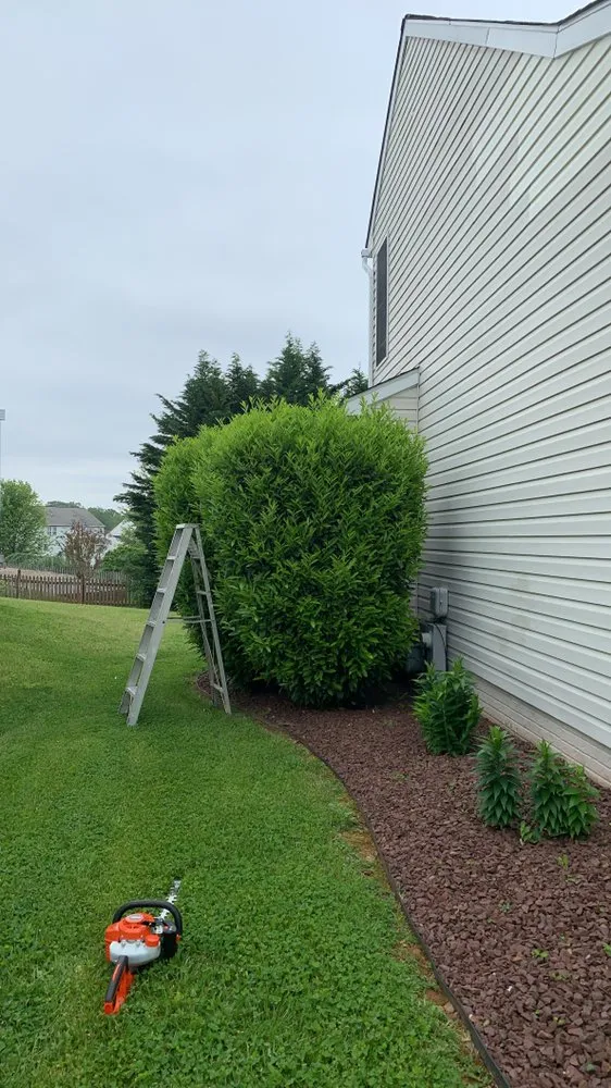 Trusted landscape design near you across Bel Air, MD - Royal Lawnscape