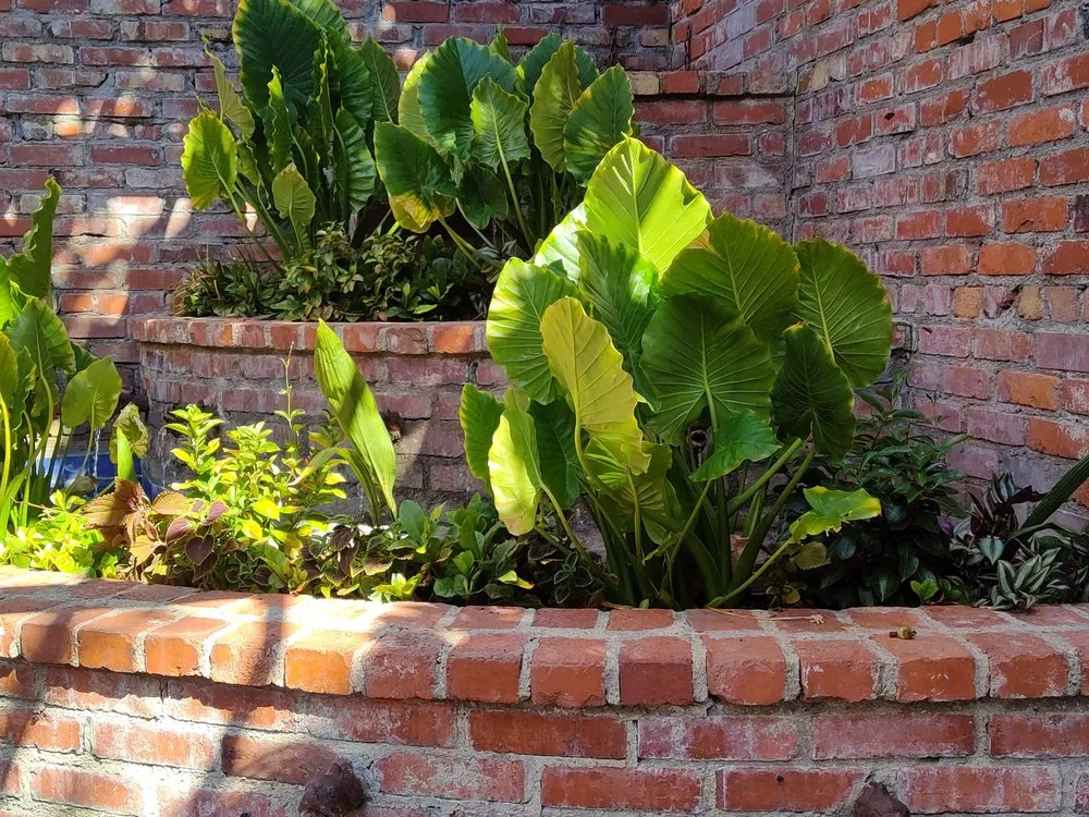 Reliable residential landscaping for outdoor upgrades across Mineola, TX - Royal Legacies Landcsape & Landscape Design