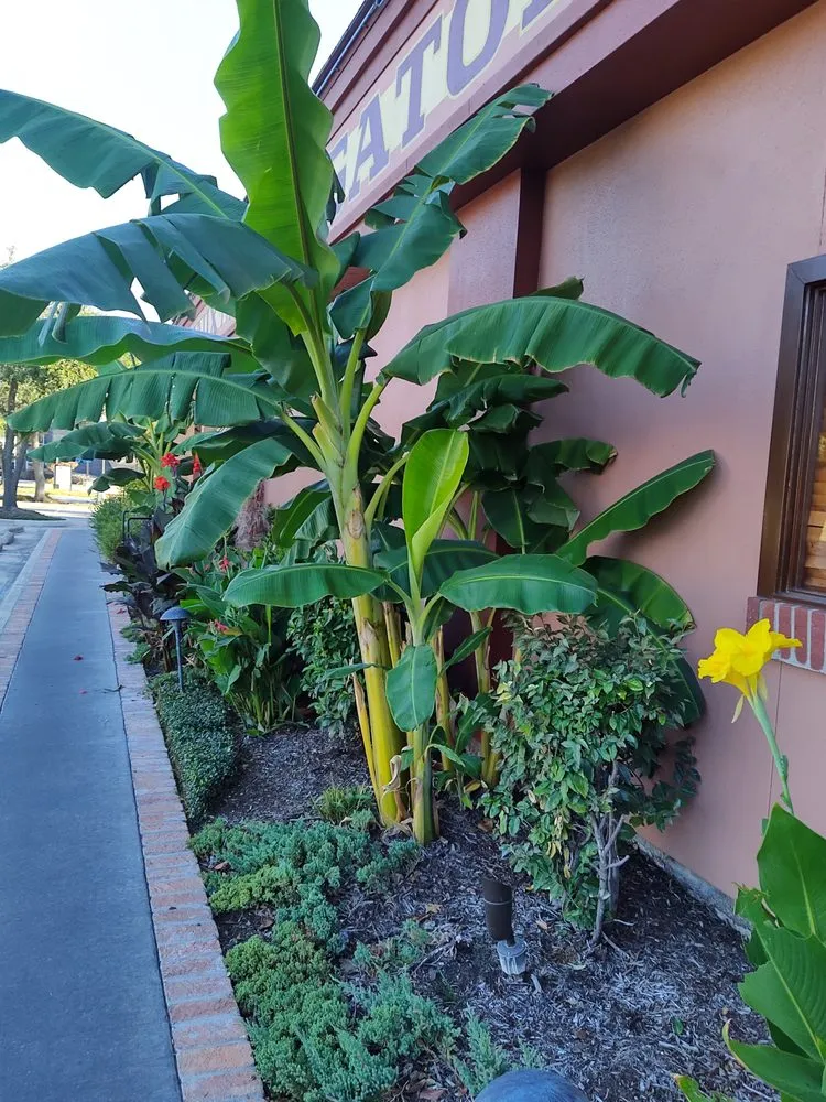 Reliable garden landscaping in Mineola, TX by Royal Legacies Landcsape & Landscape Design