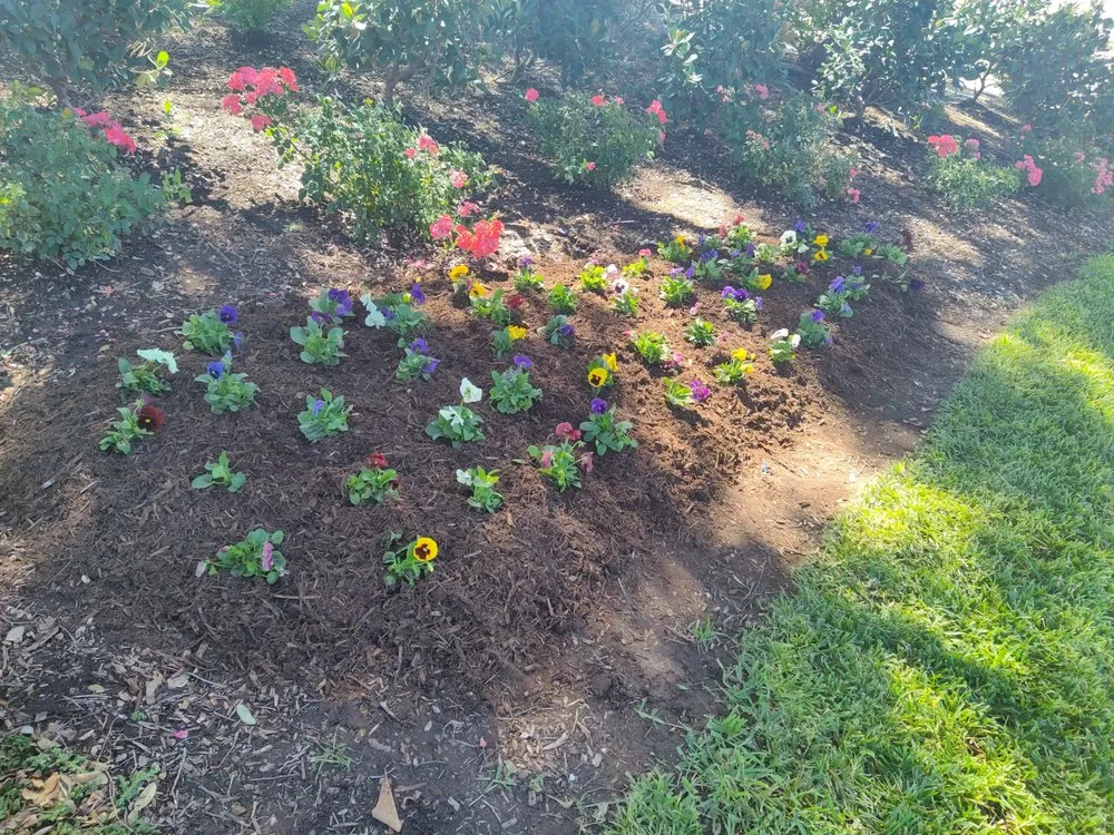 Reliable lawn mowing service experts serving Mineola, TX - Royal Legacies Landcsape & Landscape Design