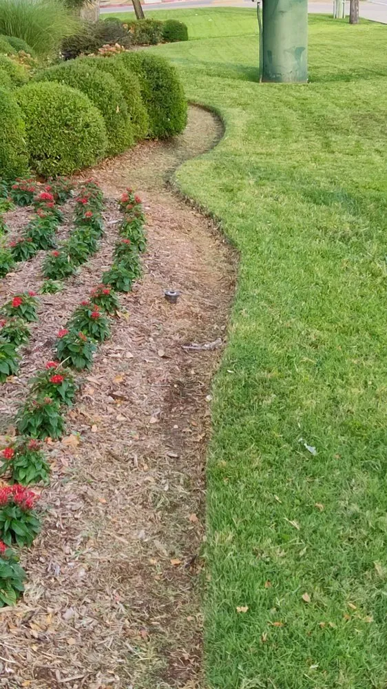 Custom yard cleanup service for beautiful yards across Mineola, TX - Royal Legacies Landcsape & Landscape Design