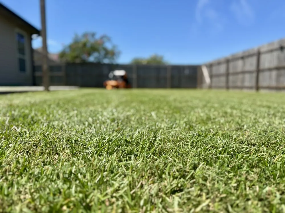 Trusted landscape installation near you in Madisonville, LA by Royal Magnolia Landscaping