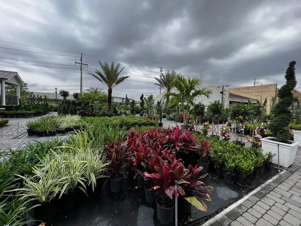 Custom residential landscaping in Madisonville, LA - Royal Magnolia Landscaping