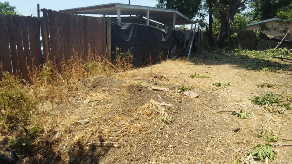 Local yard maintenance for year-round maintenance in City of Industry, CA by Royal Maintenance Landscape & Design