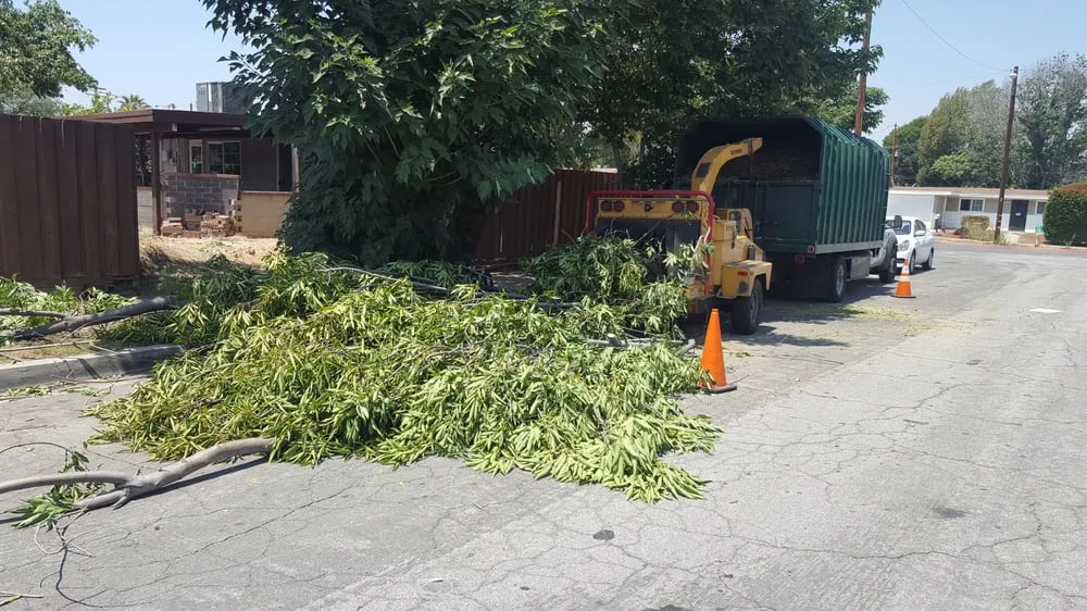 Affordable lawn mowing service for homes across City of Industry, CA - Royal Maintenance Landscape & Design