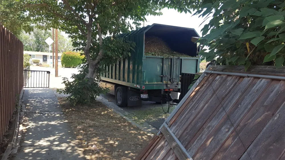 Trusted yard cleanup service in City of Industry, CA - Royal Maintenance Landscape & Design