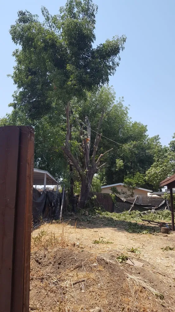 Custom lawn mowing service in City of Industry, CA - Royal Maintenance Landscape & Design