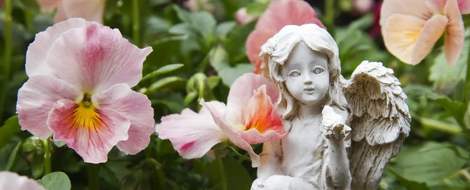 Custom lawn care service experts serving City of Industry, CA - Royal Maintenance Landscape & Design