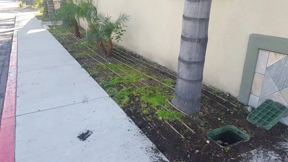 Affordable garden landscaping in City of Industry, CA by Royal Maintenance Landscape & Design